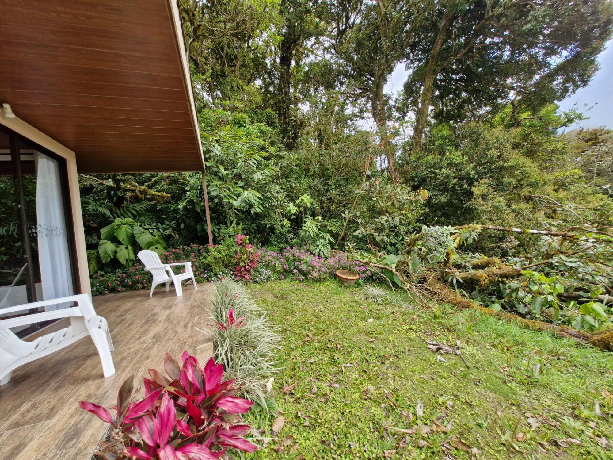 Puma Meraki Mountain View Monteverde Exterior foto